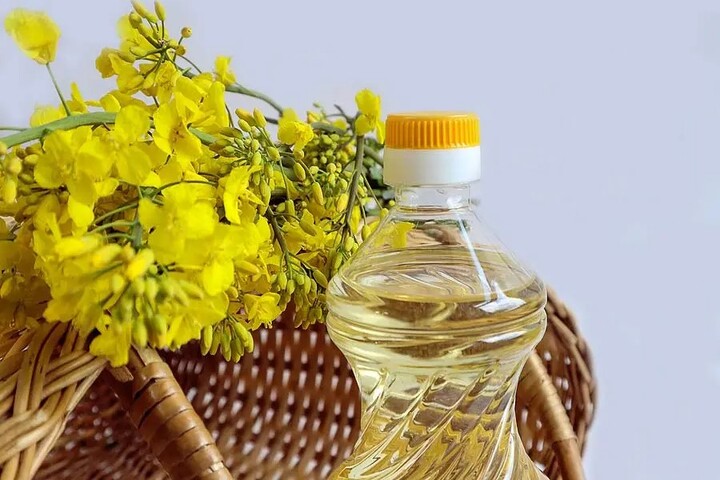 Rapeseed Oil
